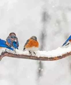 Birds Snowy Brunch Diamond Painting