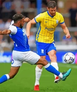 Birmingham City Vs Peterborough United Diamond Painting