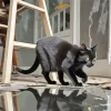 Black Cat Reflection Diamond Painting