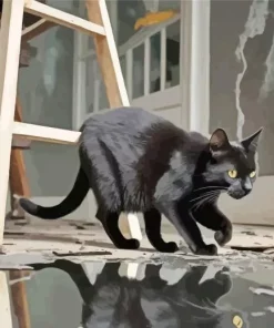 Black Cat Reflection Diamond Painting