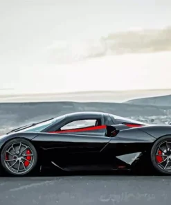 Black Cat Ssc Tuatara Diamond Painting