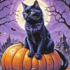 Black Cat Sitting On A Pumpkin Diamond Painting