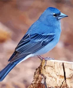 Blue Canary Finch Bird Diamond Painting