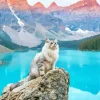 Cat In Banff National Park Diamond Painting