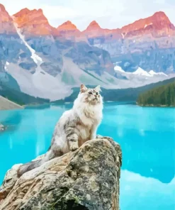 Cat In Banff National Park Diamond Painting