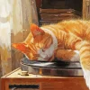 Cat Nap On Vintage Record Player Diamond Painting