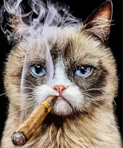 Cat Smoking Cigarette Art Diamond Painting