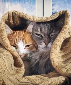 Cats Hiding Under The Blanket Diamond Painting