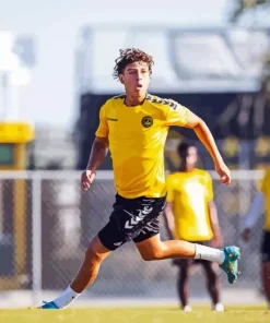 Charleston Battery Fidel Barajas Diamond Painting