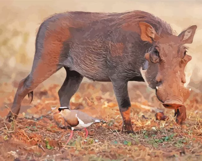 Common warthog Diamond With Numbers Common Warthog Diamond Painting