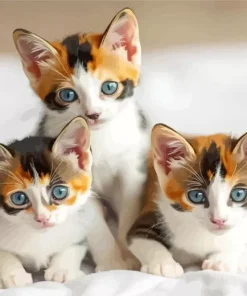 Cute Calico Kitten And Butterflies Diamond Painting