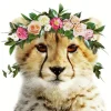 Cute Cheetah With Flowers Diamond Painting