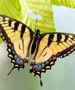 Eastern Tiger Swallowtail Butterfly Diamond Painting