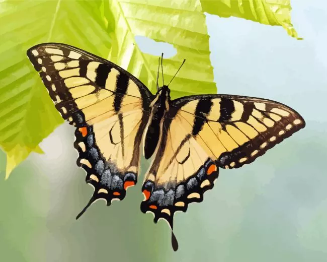Eastern Tiger swallowtail Butterfly Diamond With Numbers Eastern Tiger Swallowtail Butterfly Diamond Painting