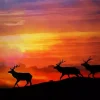 Elk Herd At Sunset Diamond Painting