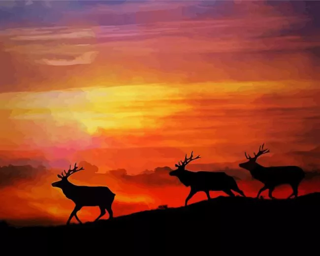 Elk herd at sunset Diamond With Numbers Elk Herd At Sunset Diamond Painting