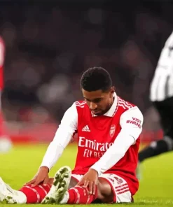 English Reiss Nelson Diamond Painting