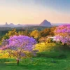 Glass House Mountains Diamond Painting