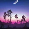 Half Moon Sunset With Trees Silhouette Diamond Painting