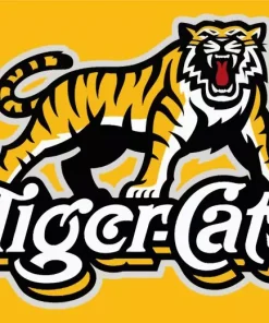 Hamilton Tiger Cats Team Logo Diamond Painting