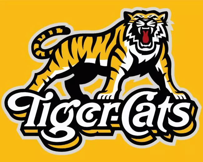 Hamilton Tiger Cats team logo Diamond By Numbers Hamilton Tiger Cats Team Logo Diamond Painting
