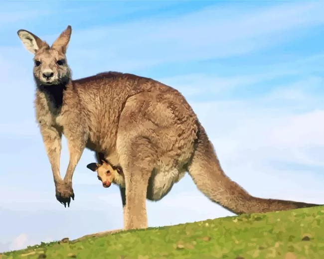 Kangaroo in pouch Diamond Paintings Kangaroo In Pouch Diamond Painting