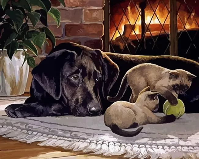 Lab And Cats Diamond By Numbers Lab And Cats Diamond Painting