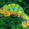 Panther Chameleon Diamond Painting
