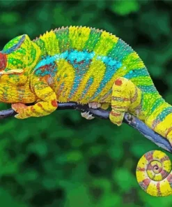 Panther Chameleon Diamond Painting