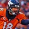 Peyton Manning Diamond Painting
