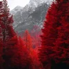 Red Forest Trees Diamond Painting