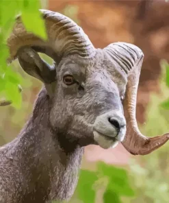 Sheep With Horns And Green Leaves Diamond Painting