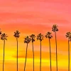 Sunset California Palm Trees Diamond Painting