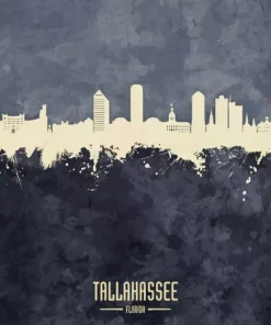 Tallahassee Florida Poster Art Diamond Painting