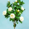 White Camellia Flowers Diamond Painting