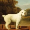 White Poodle In A Pint George Stubbs Diamond Painting