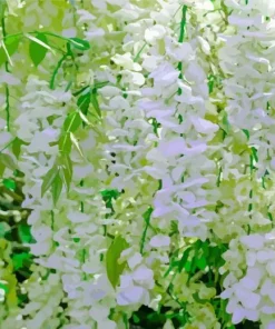 White Wisteria Diamond Painting
