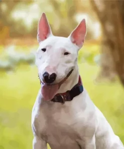 White Bull Terrier Diamond Painting