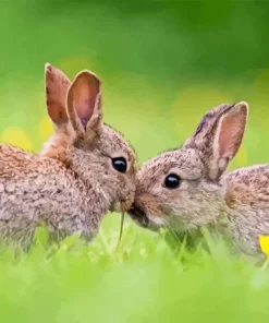 Wild European Rabbits Diamond Painting