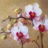 Abstract Orchid Flowers Diamond Painting
