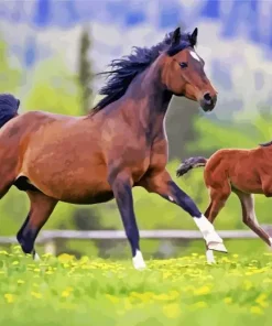 Baby And Mama Horse Diamond Painting