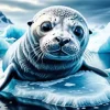 Aesthetic Seal Art Diamond Painting