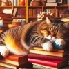 Aesthetic Sleepy Cat Bookshop Art Diamond Painting
