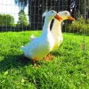 American Pekin Ducks Diamond Painting