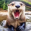 Angry Otter Diamond Painting