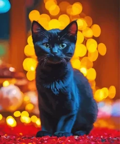 Baby Bombay Cat Diamond Painting