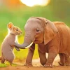 Baby Elephant Diamond Painting
