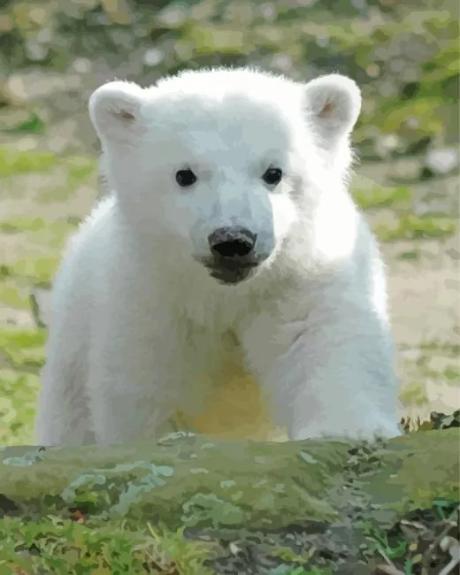 baby knut polar bear Diamond With Numbers
