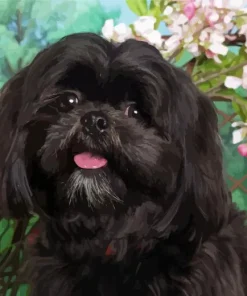 Black Shih Tzu Diamond Painting