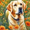 Blonde Labrador In Flowers Field Diamond Painting